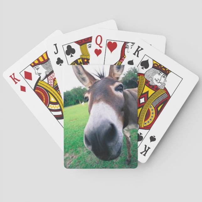 Donkey Poker Cards (Back)