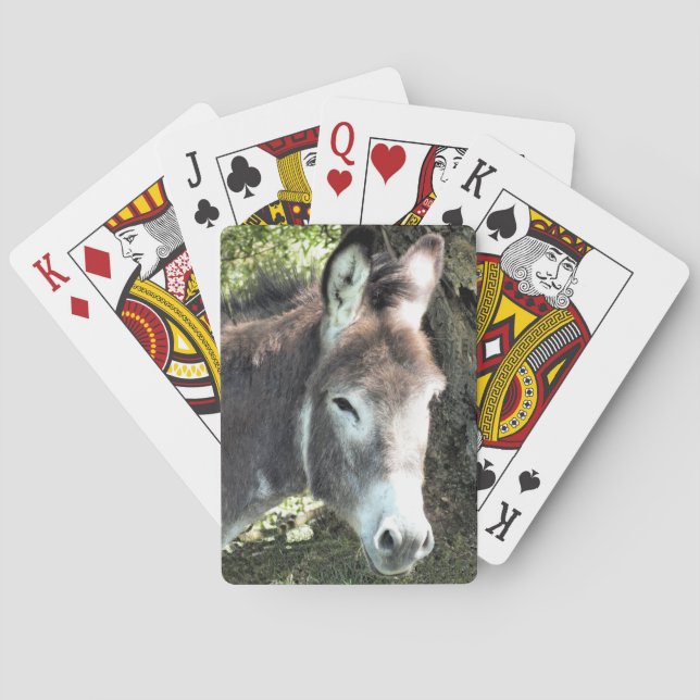 DONKEY  POKER CARDS (Back)