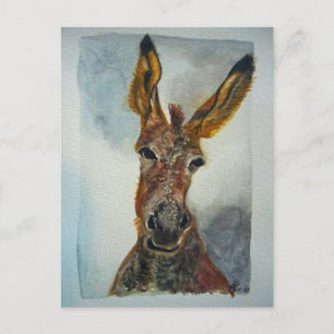 Donkey Postcard