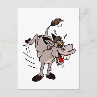 Donkey Postcard