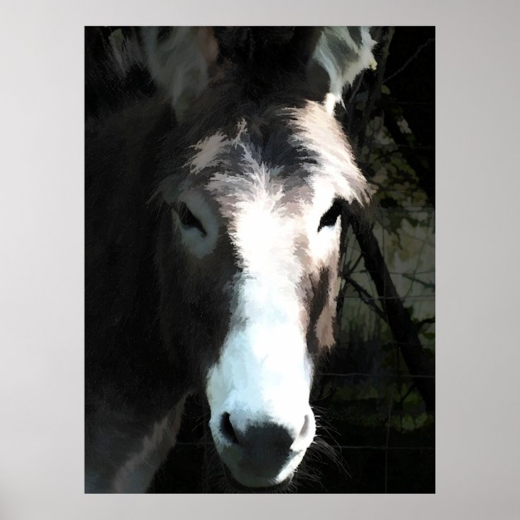 DONKEY POSTER | Zazzle