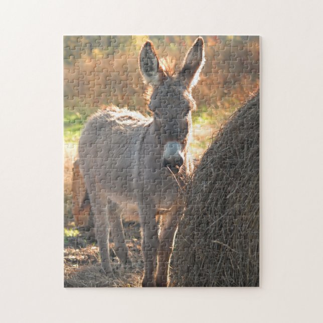 Donkey Puzzle (Vertical)