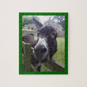 Donkey Puzzle