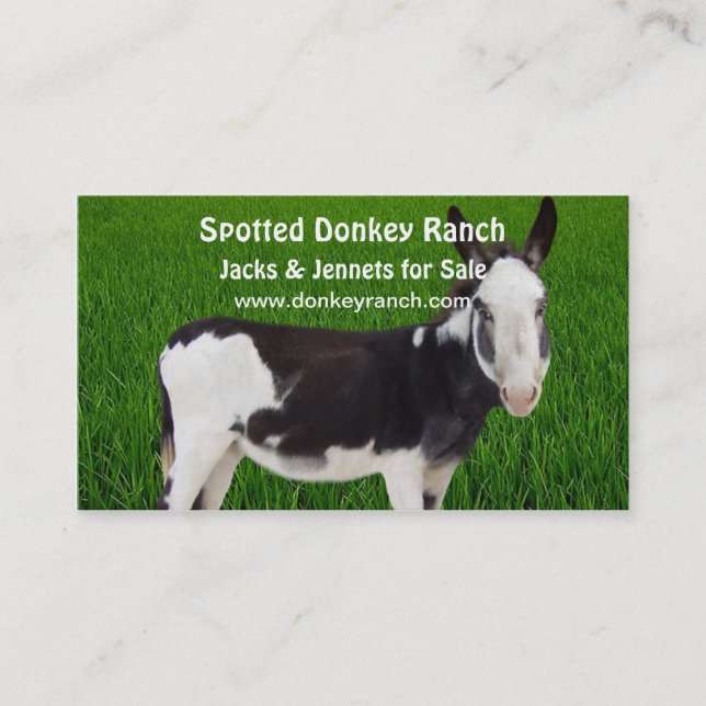 Donkey  Ranch Business Card (Front)