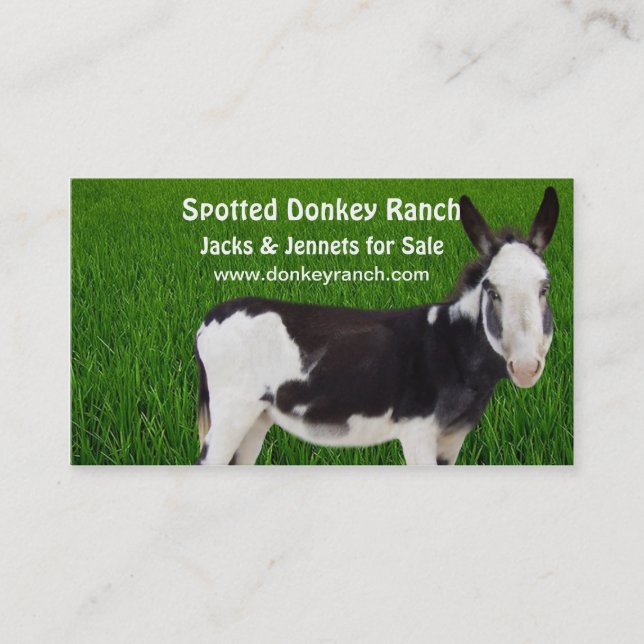 Donkey  Ranch Business Card (Front)