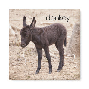 Donkey Refrigerator Magnet