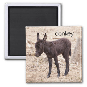 Donkey Refrigerator Magnet