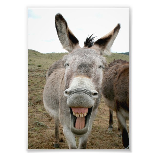 Donkey Smile Photo Print (Front)