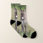 Donkey Socks at Zazzle