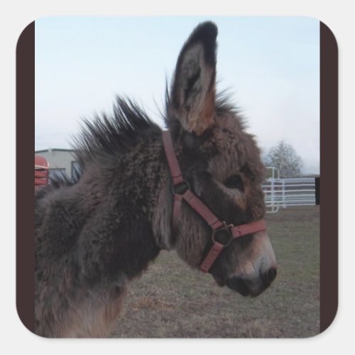 Donkey sticker