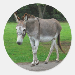 Donkey stickers