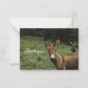 Donkey Thank You Card