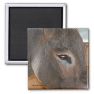 Donkey Thoughts Farm Animal Nature Magnet