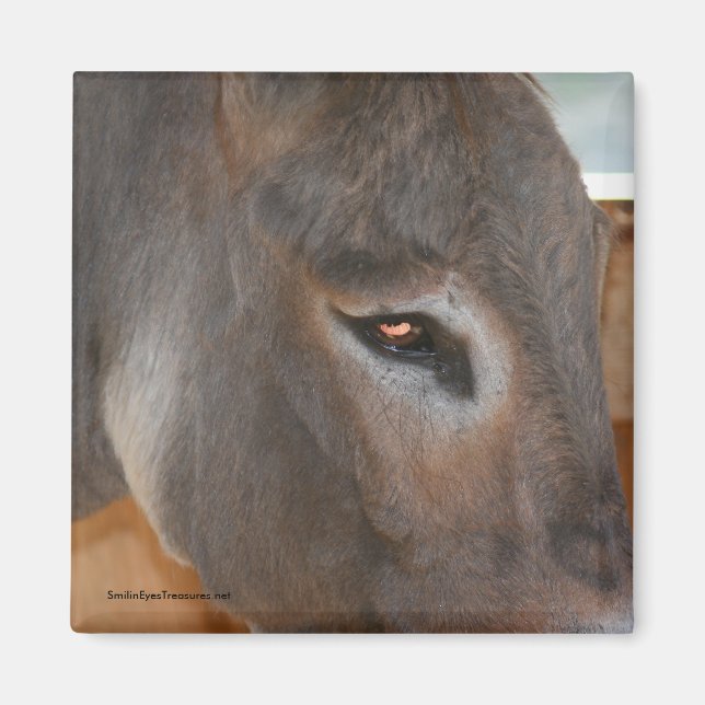 Donkey Thoughts Farm Animal Nature Magnet (Front)