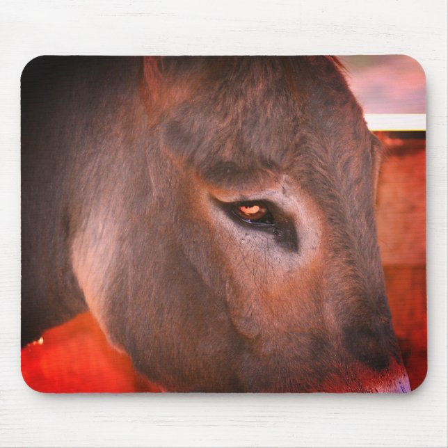Donkey Thoughts  Mouse Pad (Front)