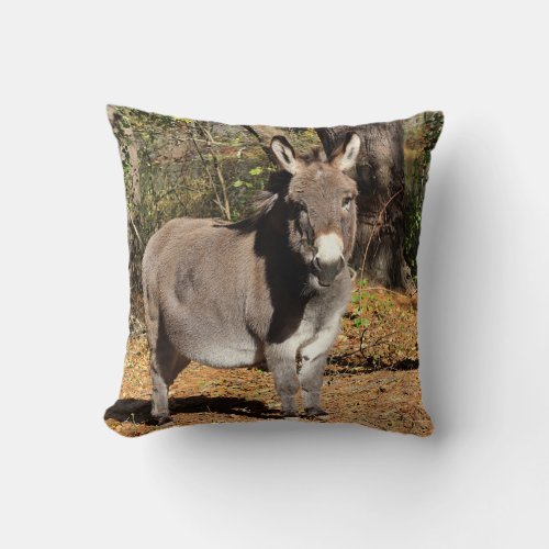 Donkey Throw Pillow
