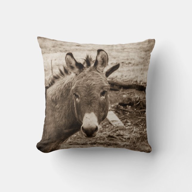 Donkey Throw Pillow (Front)