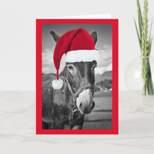 DONKEY WEARING Santa hat CHRISTMAS CARD (Front)