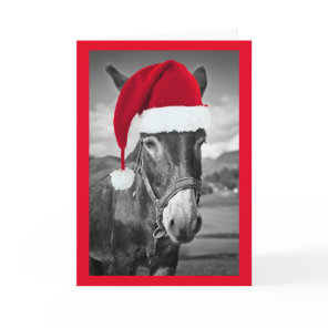 DONKEY WEARING Santa hat CHRISTMAS CARD