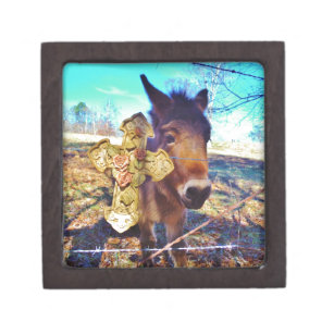 Donkey with Rose Cross Jewelry Box