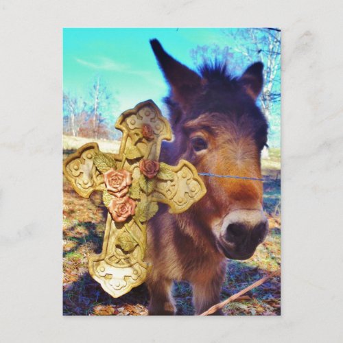 Donkey with Rose Cross Postcard