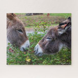 Donkeys, 520pcs, jigsaw puzzle