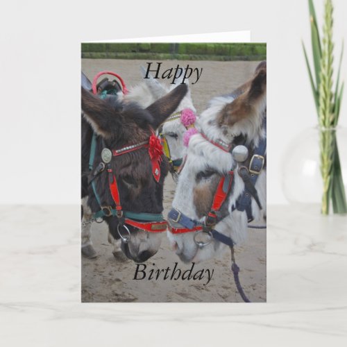 Donkeys at the Seaside Happy Birthday Card