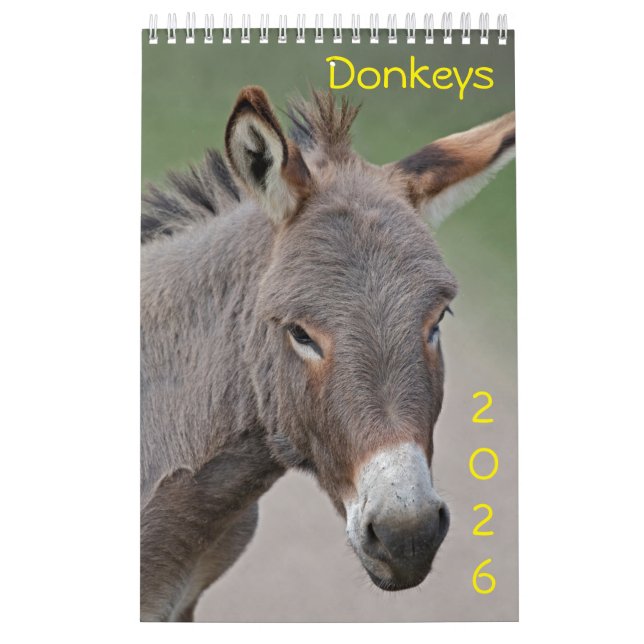 Donkeys Calendar (Cover)