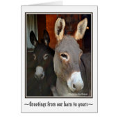 Donkeys Cards (Front)