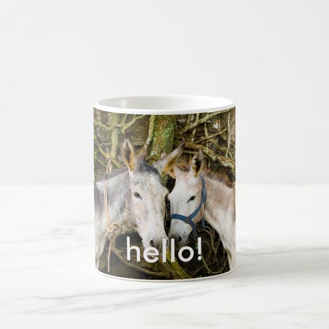 donkeys coffee mug (Center)