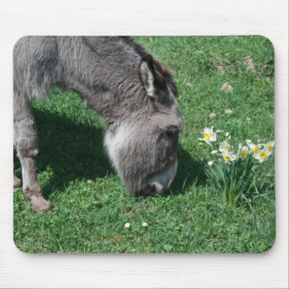Donkeys Don't Eat Wild Daffodils Mouse Pad