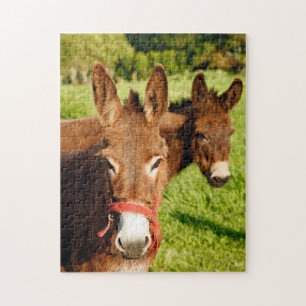 Donkeys Jigsaw Puzzle
