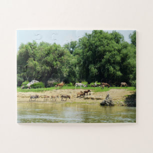 Donkeys Jigsaw Puzzle