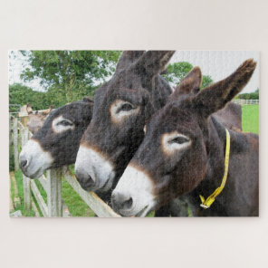 Donkeys Jigsaw Puzzle