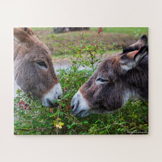 Donkeys, kids, 56 pieces, jigsaw puzzle (Horizontal)