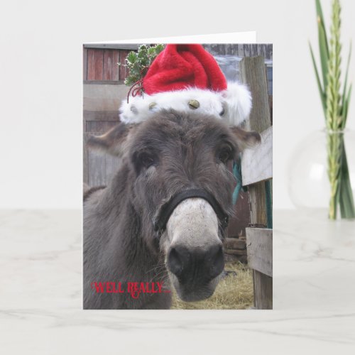 Donkeys Make Great Santas Card