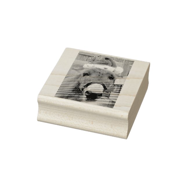 "Donkeys Make Great Santas!" Rubber Stamp (Stamp)