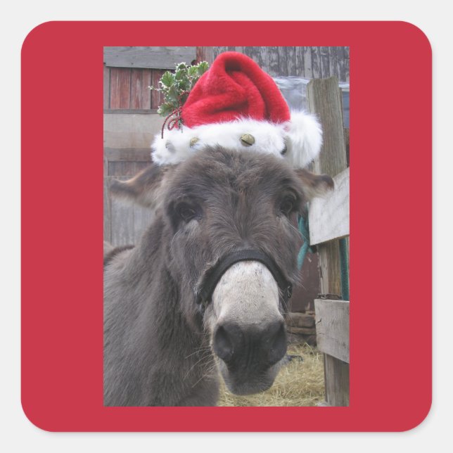 Donkeys Make Great Santas!" Square Sticker (Front)