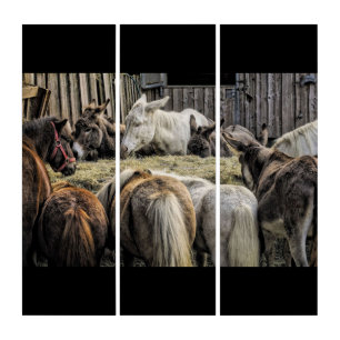 Donkey's Of The Round Table Triptych