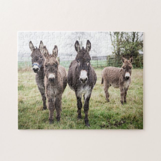 Donkeys on a Misty Winter Morning Jigsaw Puzzle (Horizontal)