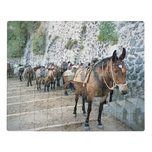 Donkeys on Santorini Steps Puzzle (Puzzle Horizontal)