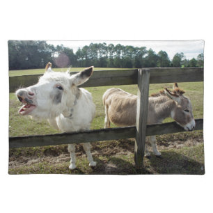 Donkeys Placemat