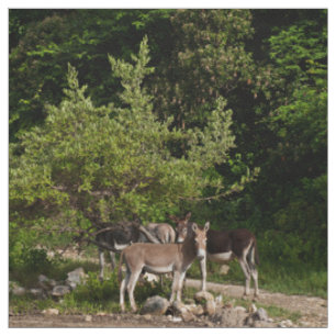 Donkeys under the Tree Fabric