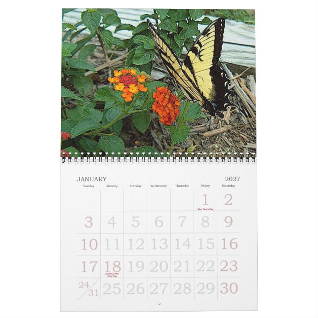 Donna‘s Garden 2007 Calendar (Jan 2027)