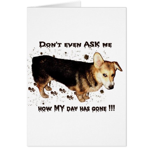 Don't Ask About MY Day... Cards (Front)