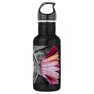 Don't Be A Cactus Stainless Steel Water Bottle