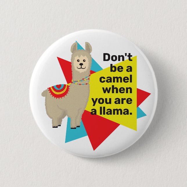 "Don't be a camel when you are a llama". Period. Button (Front)