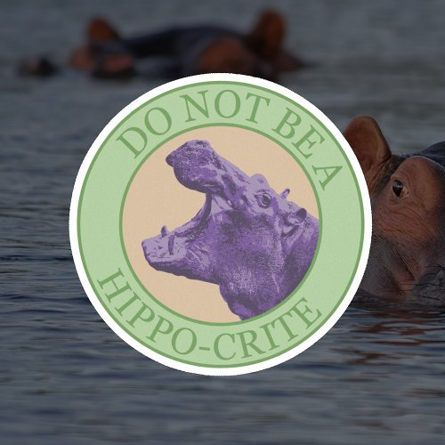 Dont Be A Hippocrite _ Punny Purple African Hip Sticker