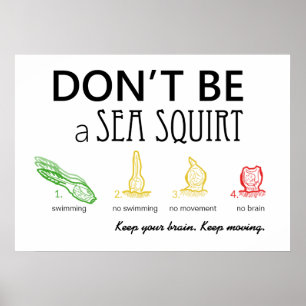 Don't Be A Sea Squirt with Color Images - Poster