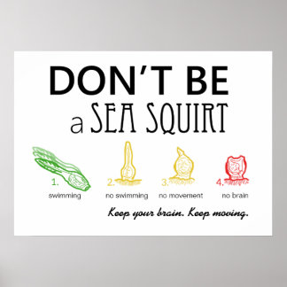 Don't Be A Sea Squirt with Color Images - Poster